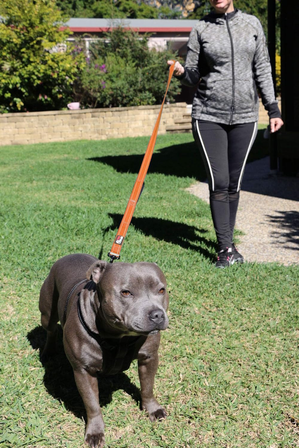 Dog Leash 6Ft Long,Traffic Padded Two Handle,Heavy Duty,Reflective Double Handles Lead for Control Safety Training,Leashes for Large Dogs or Medium Dogs,Dual Handles Leads(Orange)