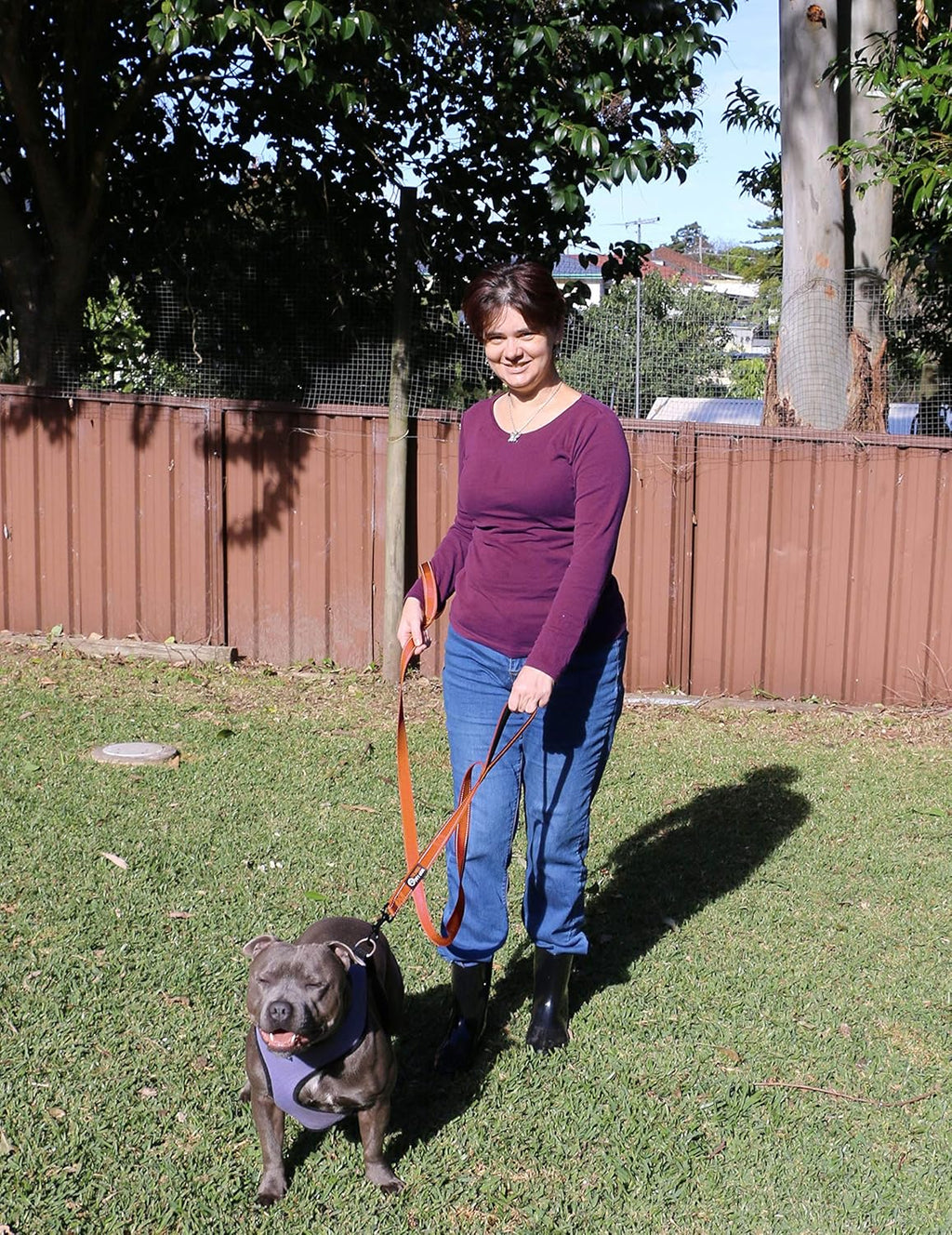 Dog Leash 6Ft Long,Traffic Padded Two Handle,Heavy Duty,Reflective Double Handles Lead for Control Safety Training,Leashes for Large Dogs or Medium Dogs,Dual Handles Leads(Orange)